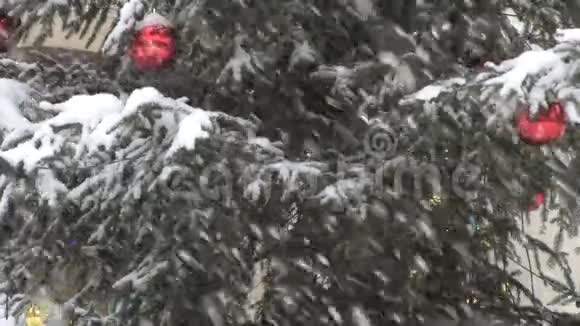 暴风雪中的树视频的预览图