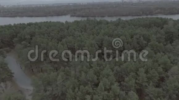 在城市河流铁路桥边的松林上空飞行视频的预览图