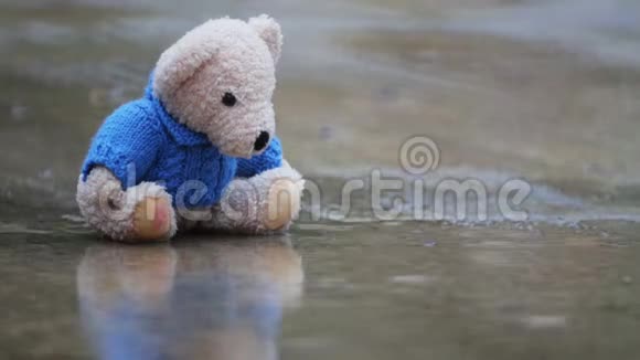 被遗弃的玩具熊在雨中的水坑里视频的预览图
