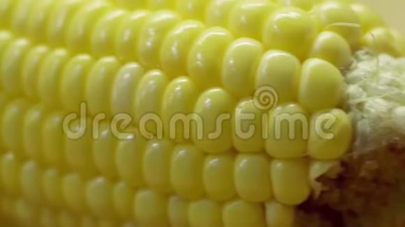 玉米棒上的一排排玉米极端接近机动滑块视频的预览图