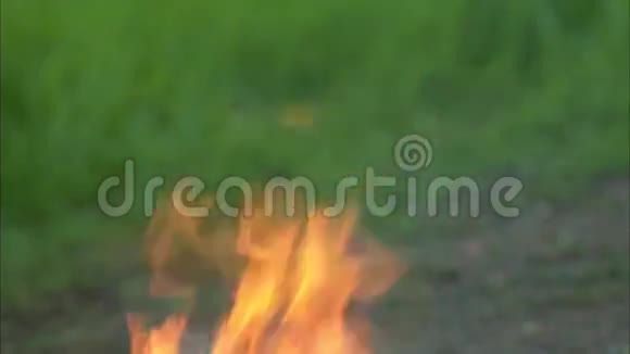 森林大火视频的预览图