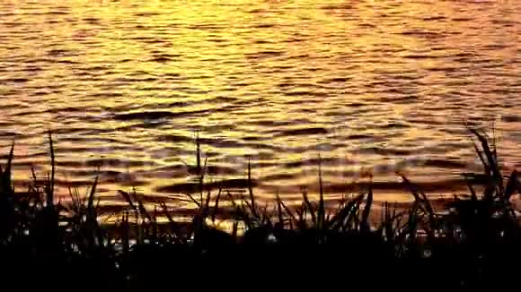 日落和湖面的波浪视频的预览图