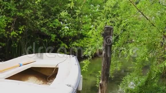 有桨停泊的木船视频的预览图