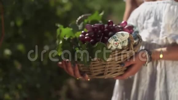 一个穿白衣服的女孩手里拿着葡萄园里种着葡萄的木篮视频的预览图