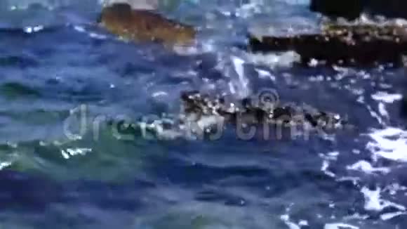 海浪冲击着岩石视频的预览图