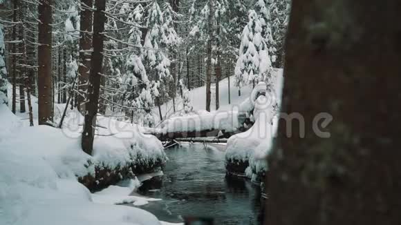冬天的那天年轻人走在白雪覆盖的树林里的河边视频的预览图