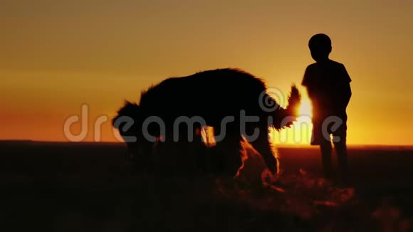 两个青少年朋友在日落时和一只狗玩在风景如画的乡村视频的预览图