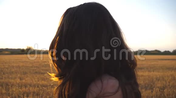 美丽的女孩正沿着麦田走背景是太阳耀斑年轻女子去草地的照片视频的预览图