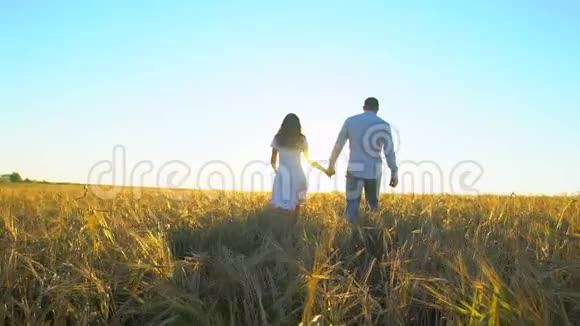 快乐的一对情侣在户外玩在日落的大自然中漫步麦田浪漫幸福的爱情家庭年轻人视频的预览图