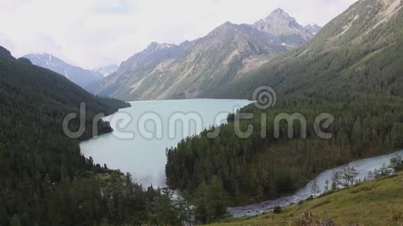 夏季早晨的阿尔卑斯湖阿尔泰山脉的库切尔林斯科耶湖视频的预览图