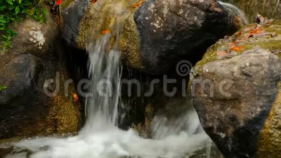 巨石上的瀑布视频的预览图