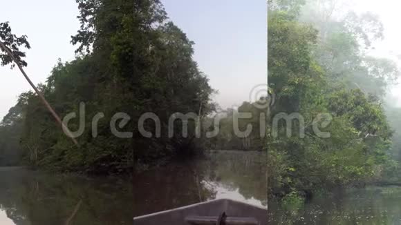 移动设备上社交媒体应用的垂直视频清晨在薄雾热带河流乘船视频的预览图