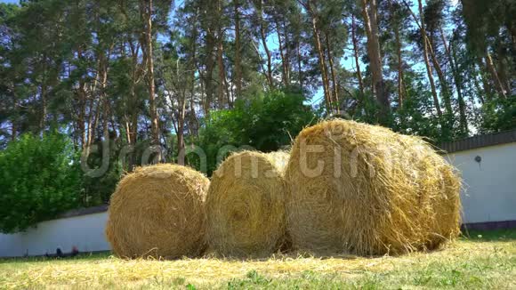 农场上有三个圆形稻草堆干草作动物饲料视频的预览图