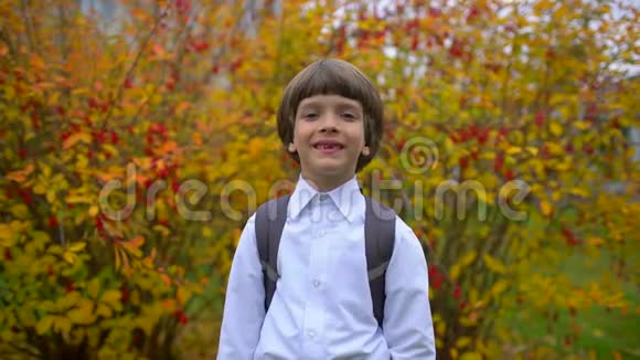 一年级学生玩得开心带着背包在户外对着镜头笑的可爱男孩的画像视频的预览图