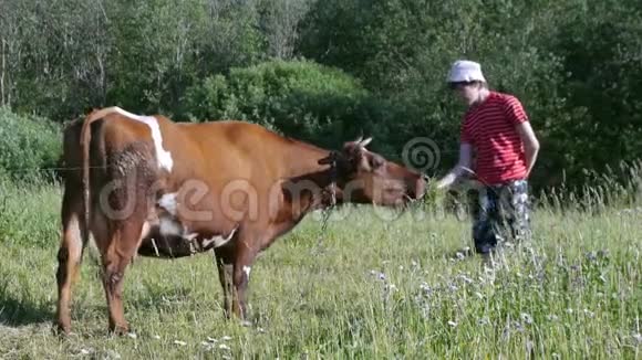 少年站在草地上手里拿着牛草视频的预览图