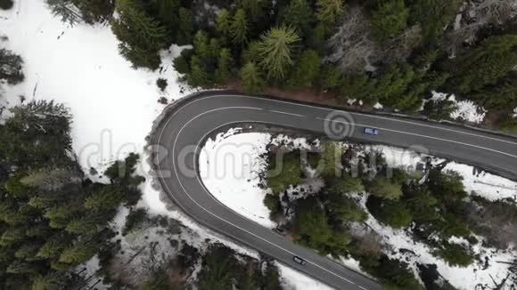 森林景观中汽车在道路上行驶的鸟瞰图视频的预览图