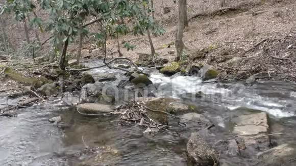 佐治亚州阿默科拉瀑布向下游看阿默科拉溪视频的预览图