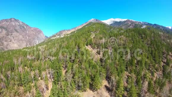 空中观景台镜头从森林中升起山地景观西伯利亚视频的预览图