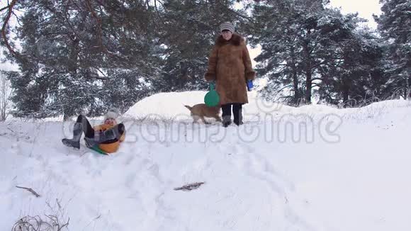 冬天女孩从公园的山上开车和狗一起在公园里度假视频的预览图