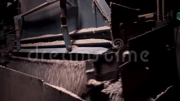 机器上的葡萄加工垃圾场上的破碎研磨分拣和运输线视频的预览图