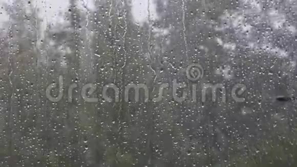 暴风雨的一天窗玻璃上有水滴和树视频的预览图