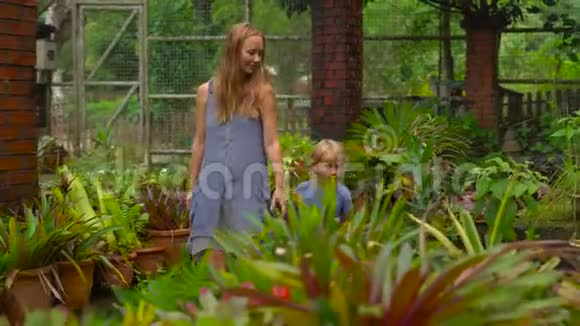 年轻女子和她的儿子参观了一个热带植物园附生部分视频的预览图