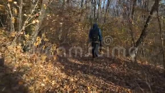 户外摄影师带着背包在森林里散步视频的预览图