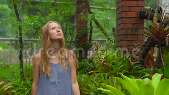 年轻女子和她的儿子参观了一个热带植物园附生部分视频的预览图