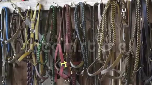 马缰绳挂在谷仓里视频的预览图