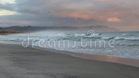 怀希海滩晨雾视频的预览图