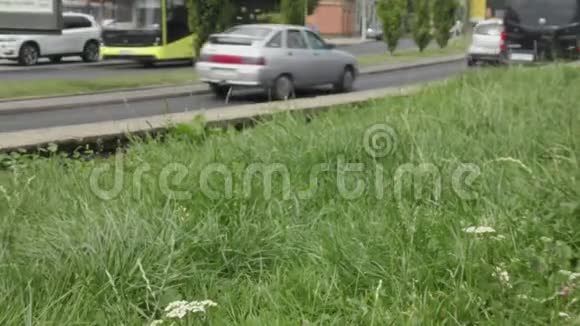 夏天城市的人和车模糊了视频的预览图