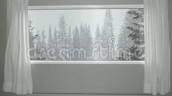 阴天背景下针叶林冬季降雪背景板色度键视频背景视频的预览图