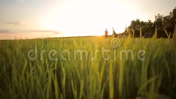快乐的一对夫妇在草地上奔跑视频的预览图