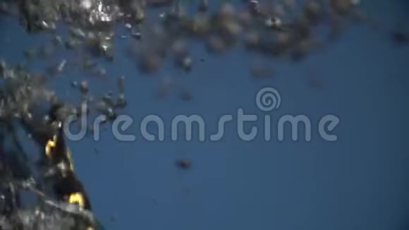 水中巨大的气泡在蓝色背景下上升视频的预览图
