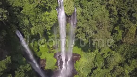 镜头从上到下两个人从高处坠落的美景在雨林中倾泻而下视频的预览图