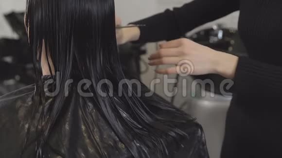 理发师时装设计师在美容院剪发给一位年轻女子视频的预览图