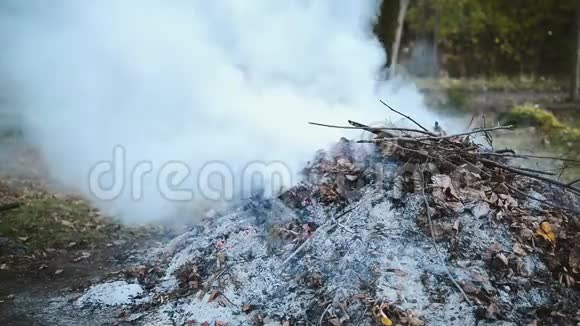 在浓烟中燃烧秋叶视频的预览图