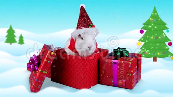 穿着圣诞老人服装的毛茸茸的白兔视频的预览图