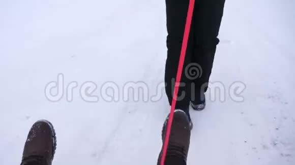 在冬天下雪的日子里一家人在雪橇上玩得很开心人们骑着雪碟特写镜头圣诞节视频的预览图