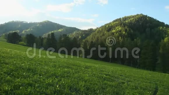 阿尔泰山的空地很漂亮的类型绿色的草地空中观景台视频的预览图