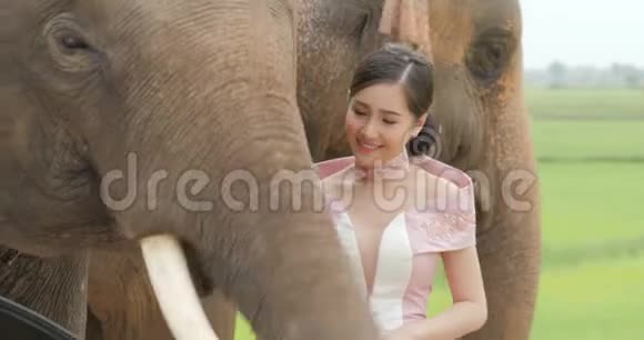 年轻迷人的亚洲女性穿着传统服装与大象的温柔视频的预览图