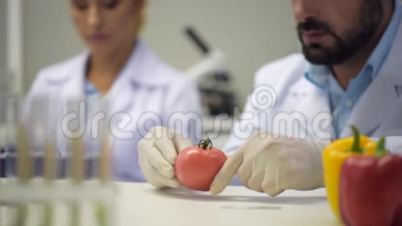 向番茄注射化学物质的人的视野视频的预览图