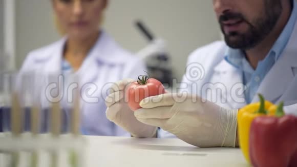 一位男性科学家检查过的红色番茄视频的预览图