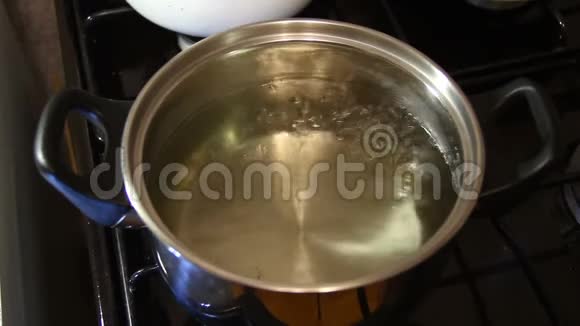 把饺子放进沸水里视频的预览图