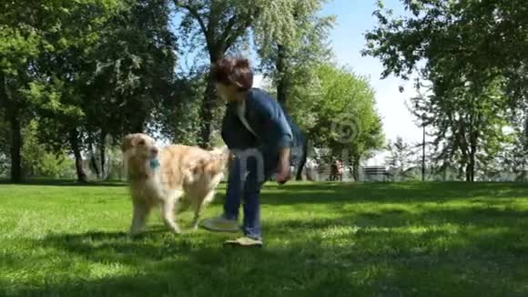 快乐的小男孩在公园里训练他的狗视频的预览图