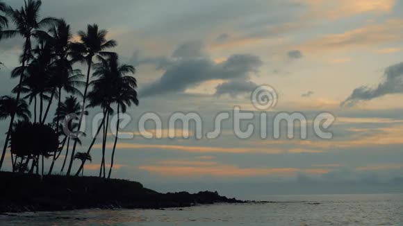夏威夷毛伊岛海滩的标志性景观视频的预览图