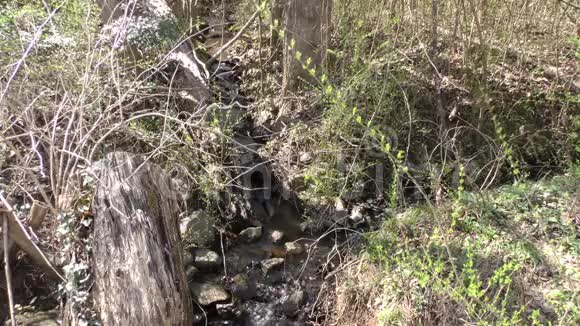 佐治亚州查塔霍切河两个小溪流在河附近合并在一起视频的预览图