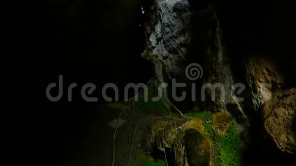 在黑暗的洞穴里观赏美丽的绿色视频的预览图