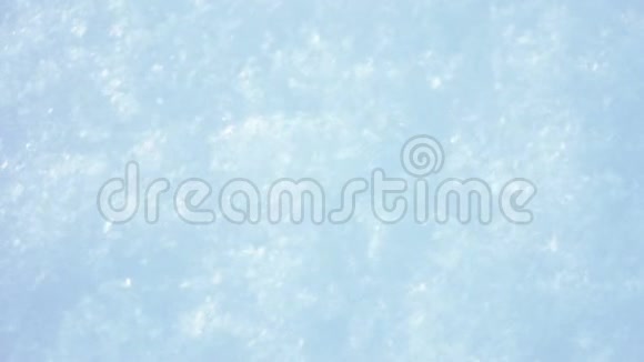 冬天躺在白净的雪上的红毛心视频的预览图
