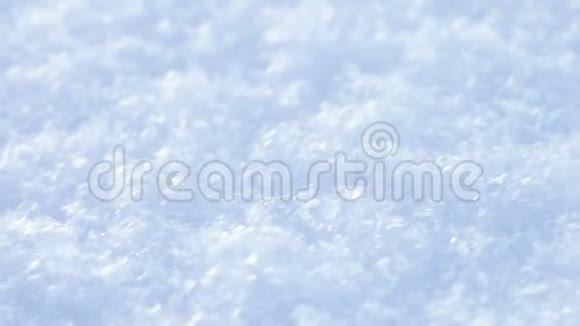 冬天躺在白净的雪上的红毛心视频的预览图